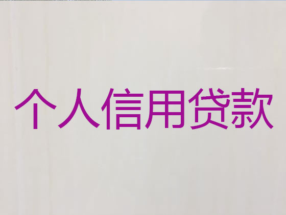 三门峡贷款公司-银行信用贷款